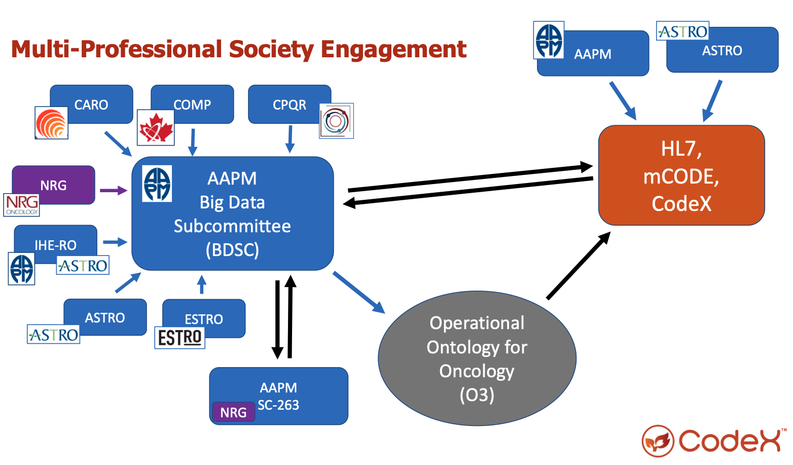 CodeX society engagement diagram